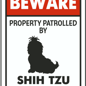 Shih-Tzu on patrol