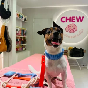 Riviera Collection - Capri