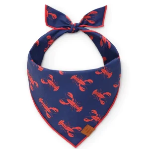 Catch of the day bandana - blue