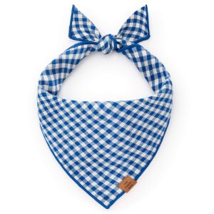 Gingham blue bandana