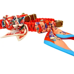 Lilly orange halsband