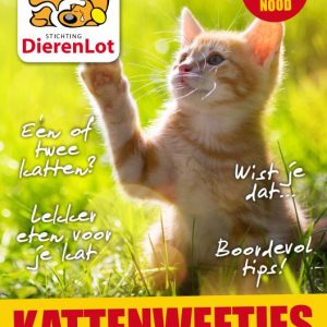 Boekje vol kattenweetjes voor de échte dierenvriend