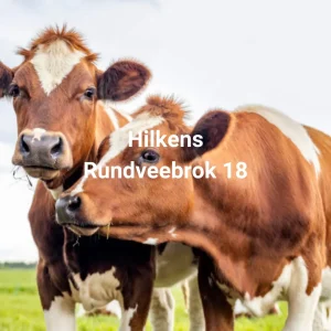 Rundveebrok 18