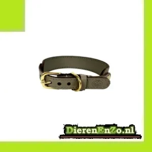 Sazzz Halsband Hond Sweetie Classic Leer Taupe