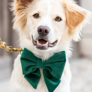 Velvet green Lady strik