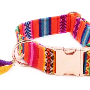 LaaVida neon orange collar