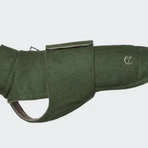 Flannel Green - a Dachshund special