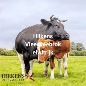 Vleesveebrok eiwitrijk