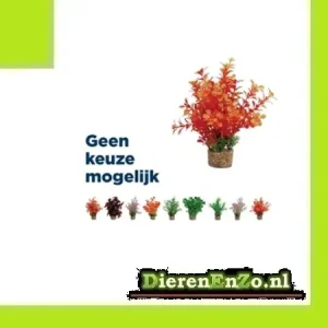 Zolux Ornament Pastic Plant Op Stenen Vrolijk