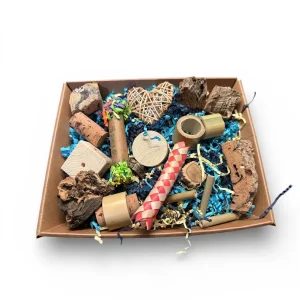 Foerageer Box – natuurlijk & uitdagend